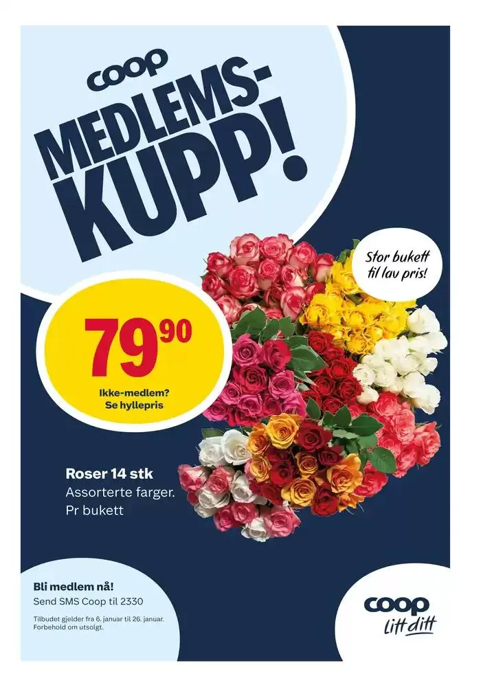 Våre beste tilbud for deg fra 6. januar til 19. januar 2025 - kundeavisside 6