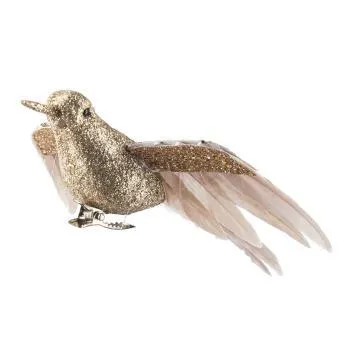 Fugl på klype kolibri