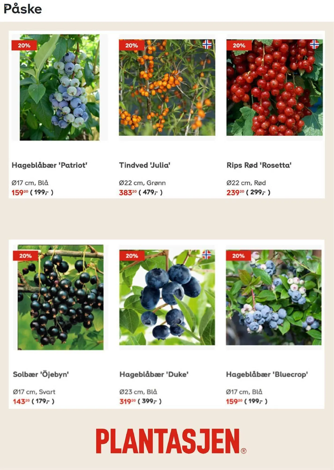 Plantasjen Kundeavis fra 6. september til 26. september 2023 - kundeavisside 3