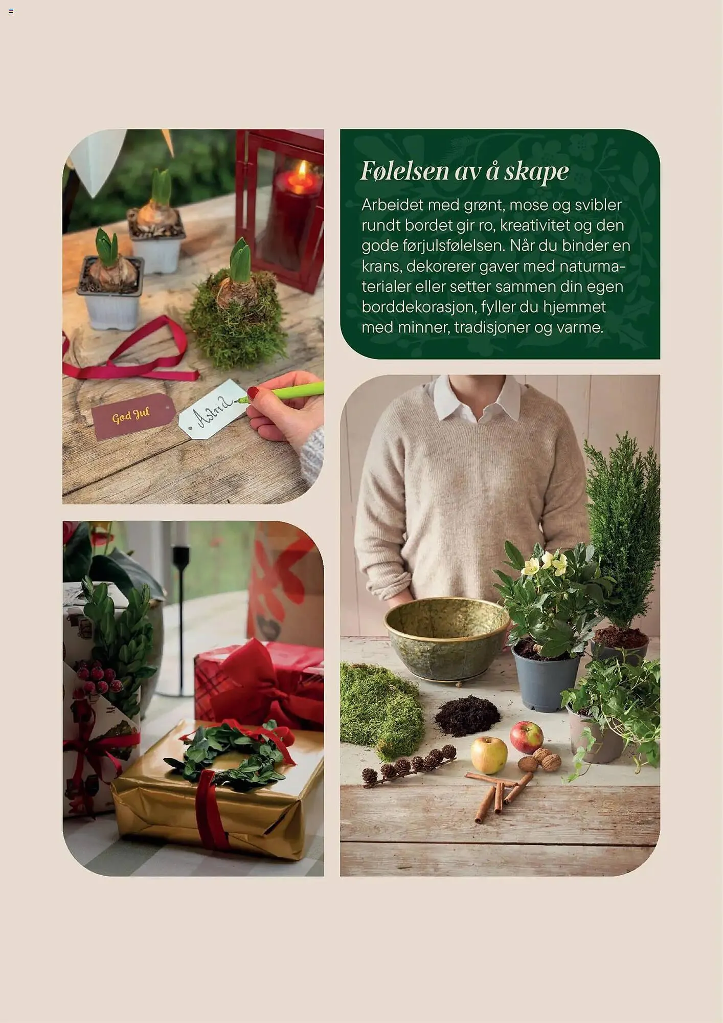 Plantasjen kundeavis fra 2. desember til 9. januar 2026 - kundeavisside 19