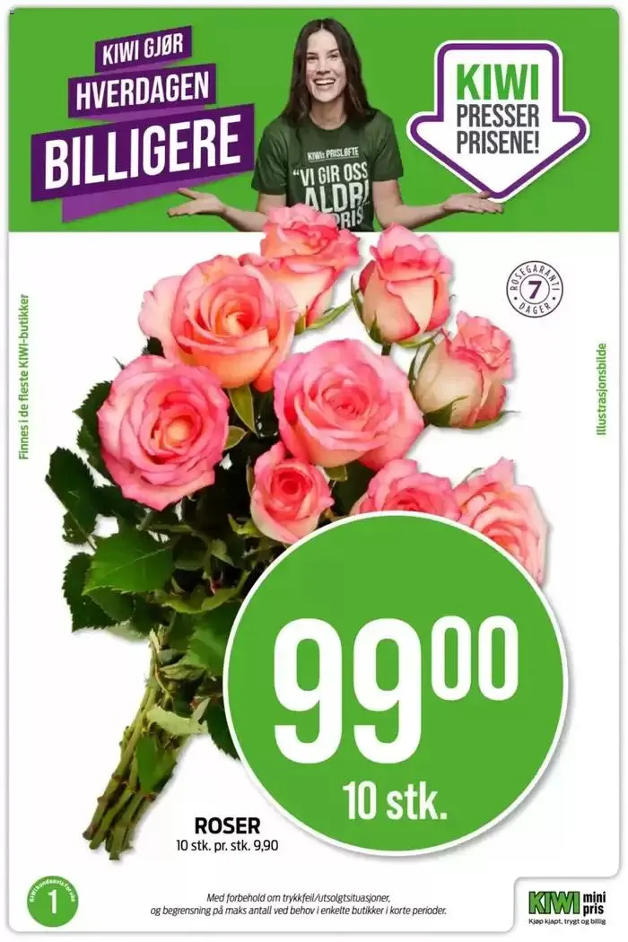 Kiwi Kundeavis fra 1. januar til 12. januar 2025 - kundeavisside 8