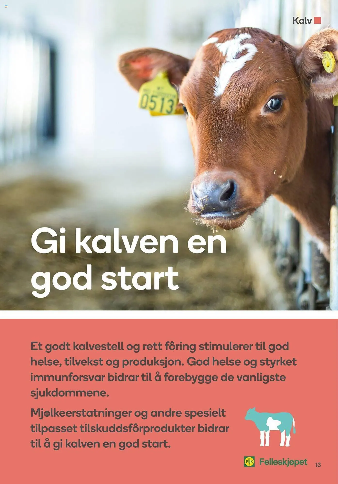 Felleskjøpet Kundeavis fra 30. januar til 30. september 2023 - kundeavisside 13