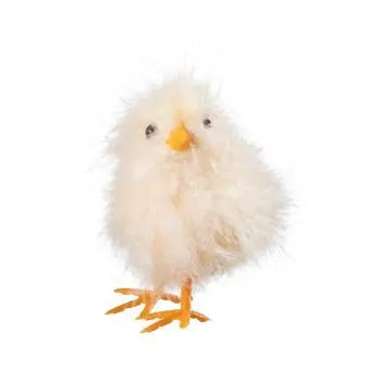 Kylling Pip liten