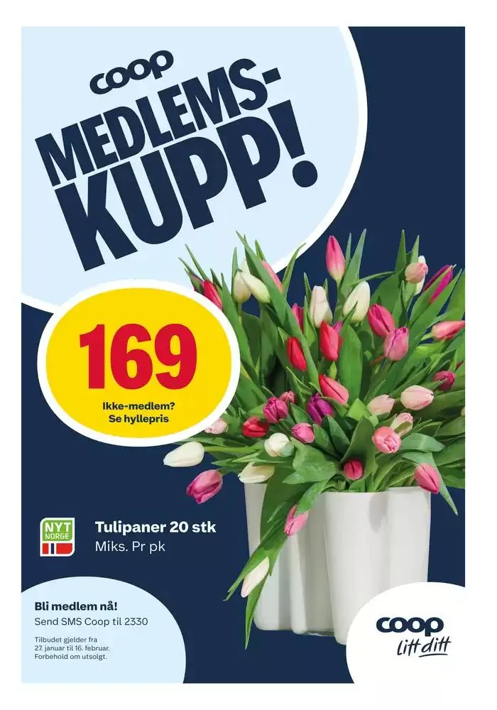 Eksklusive tilbud og kupp fra 17. februar til 23. februar 2025 - kundeavisside 6