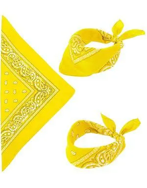 Gul Paisley Bandana