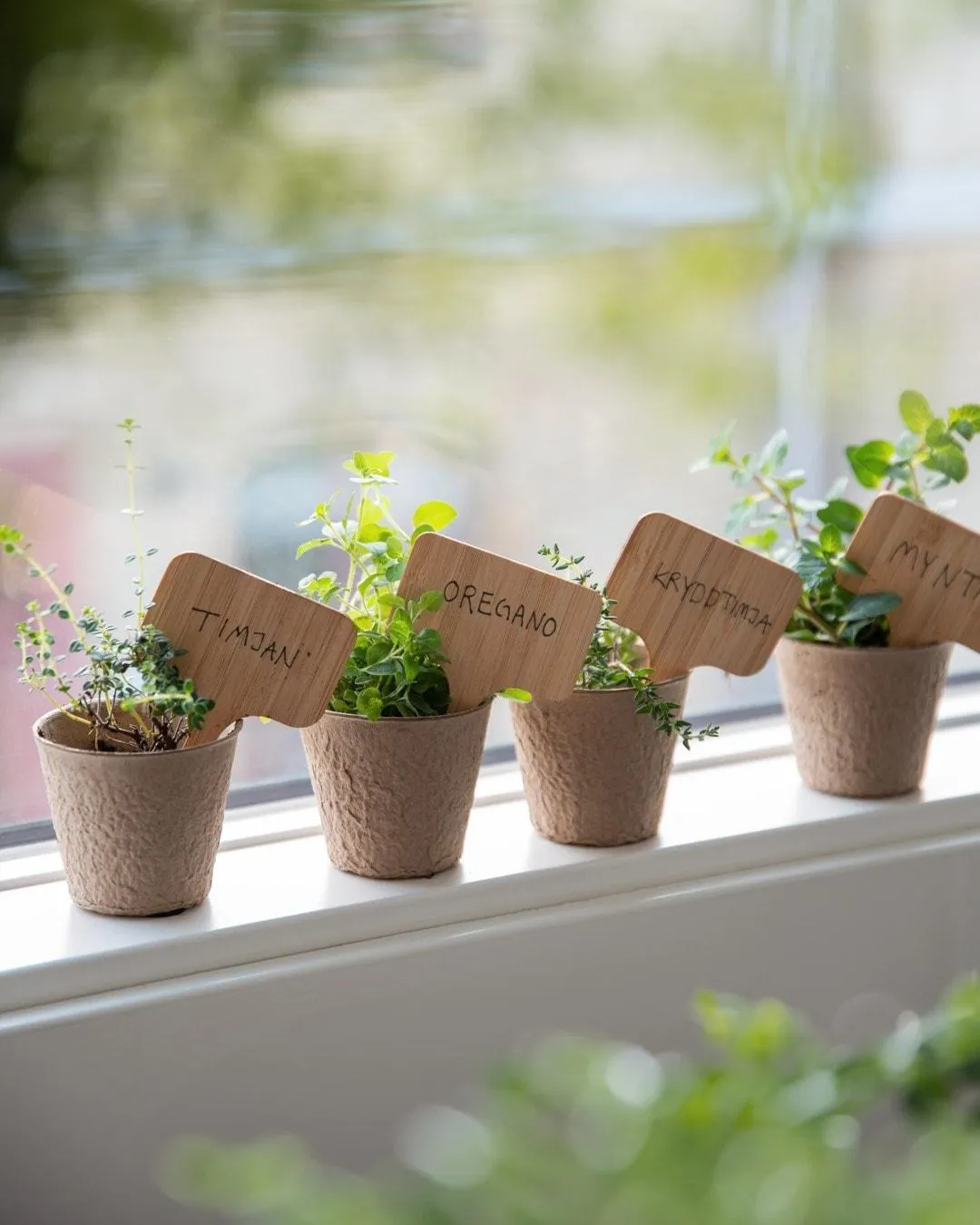 Planteringspinner Odla | Interiør på nett | Lagerhaus.no