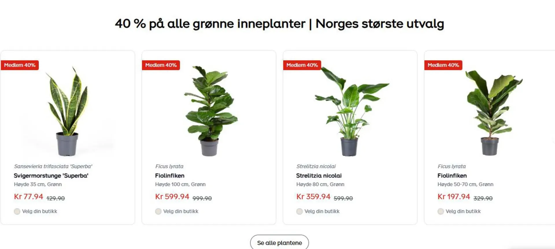 Plantasjen kundeavis fra 16. oktober til 30. oktober 2025 - kundeavisside 2