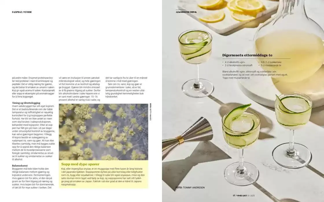 Argang fra 6. mars til 6. april 2025 - kundeavisside 7