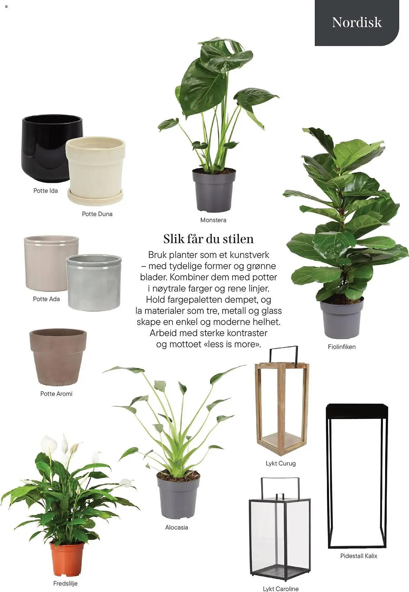 Plantasjen kundeavis fra 8. januar til 3. april 2026 - kundeavisside 13