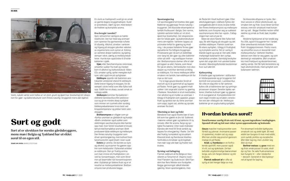 Argang fra 6. mars til 6. april 2025 - kundeavisside 17