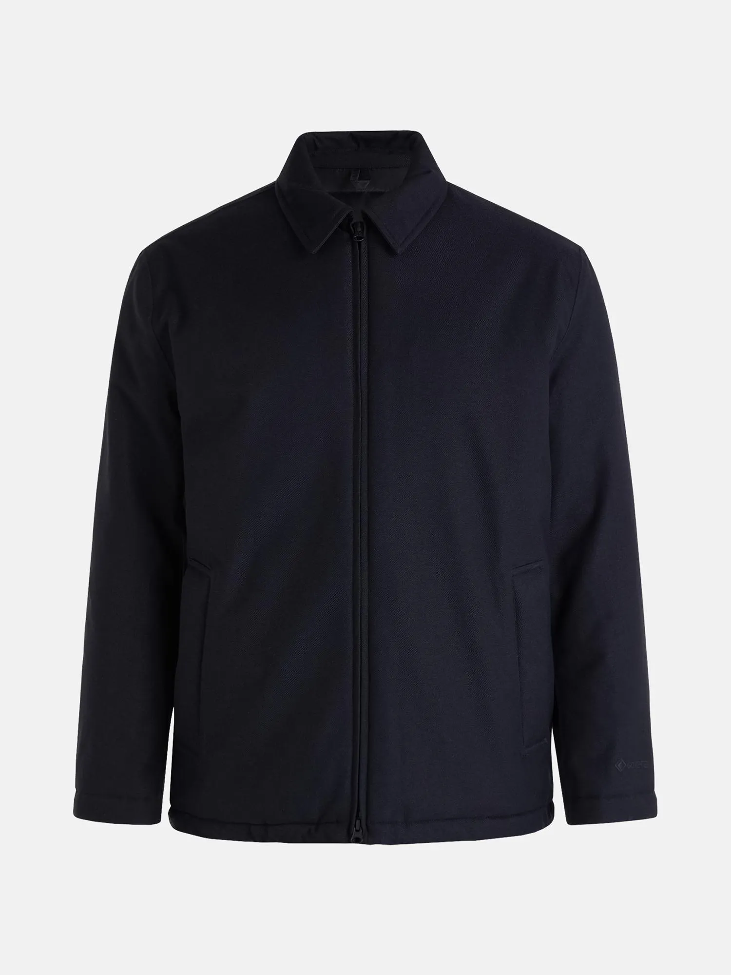 Gore-Tex 2L Padded Jacket Men