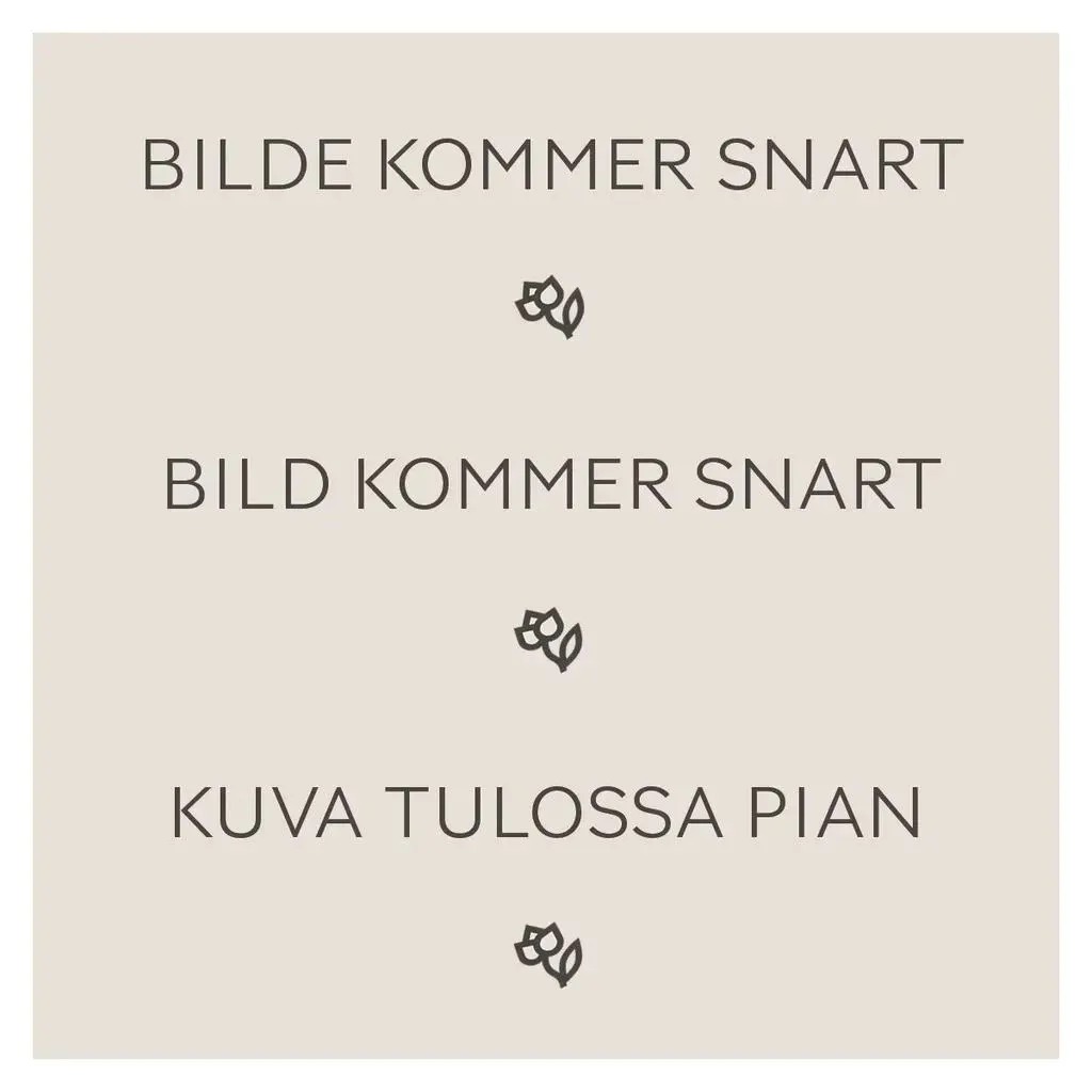 Klematis 'Rüütel' Klatreplante