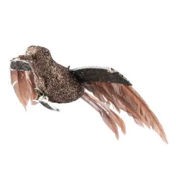 Fugl på klype kolibri