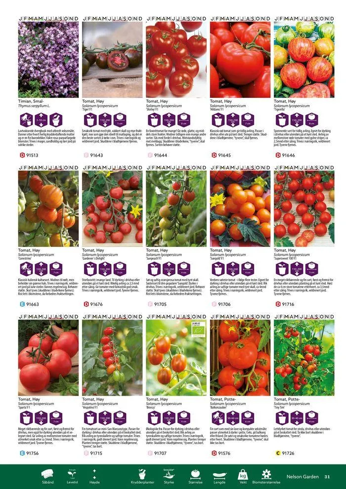 Forkatalog 2024 fra 1. januar til 31. desember 2024 - kundeavisside 31