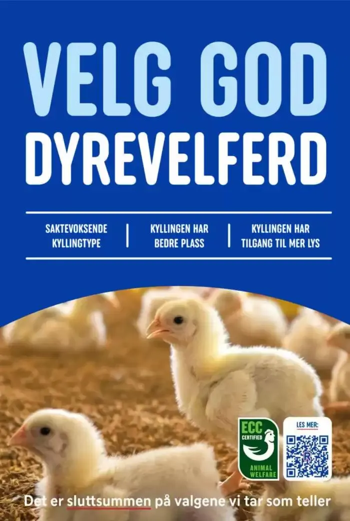 Nye tilbud å oppdage fra 27. oktober til 2. november 2024 - kundeavisside 3