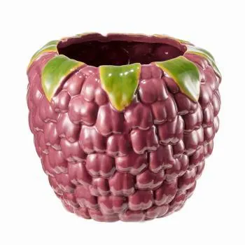 Potte bringebær 15cm