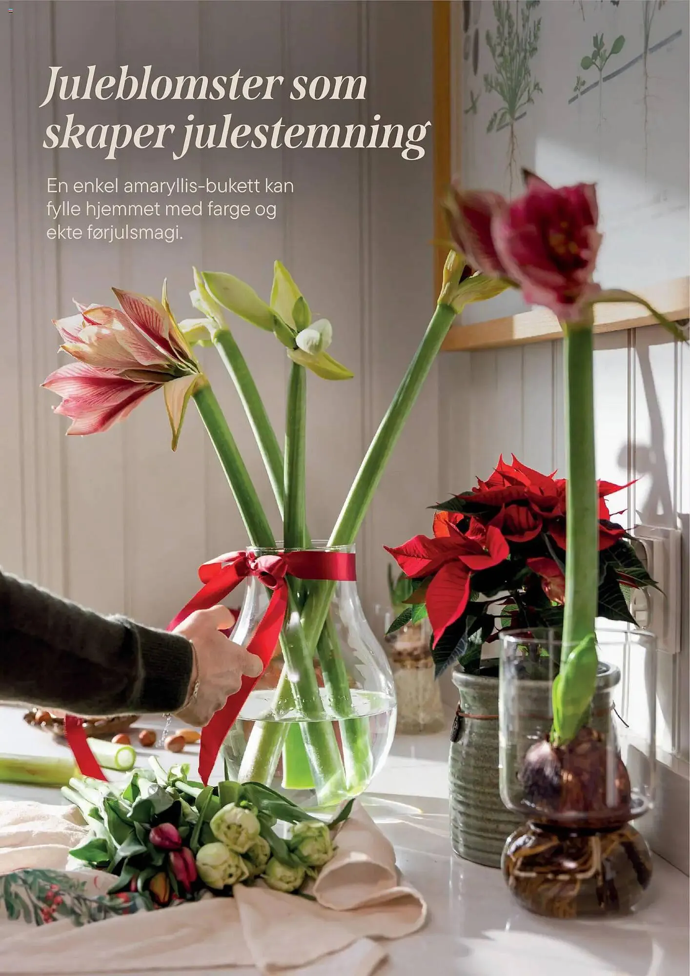 Plantasjen kundeavis fra 2. desember til 9. januar 2026 - kundeavisside 4