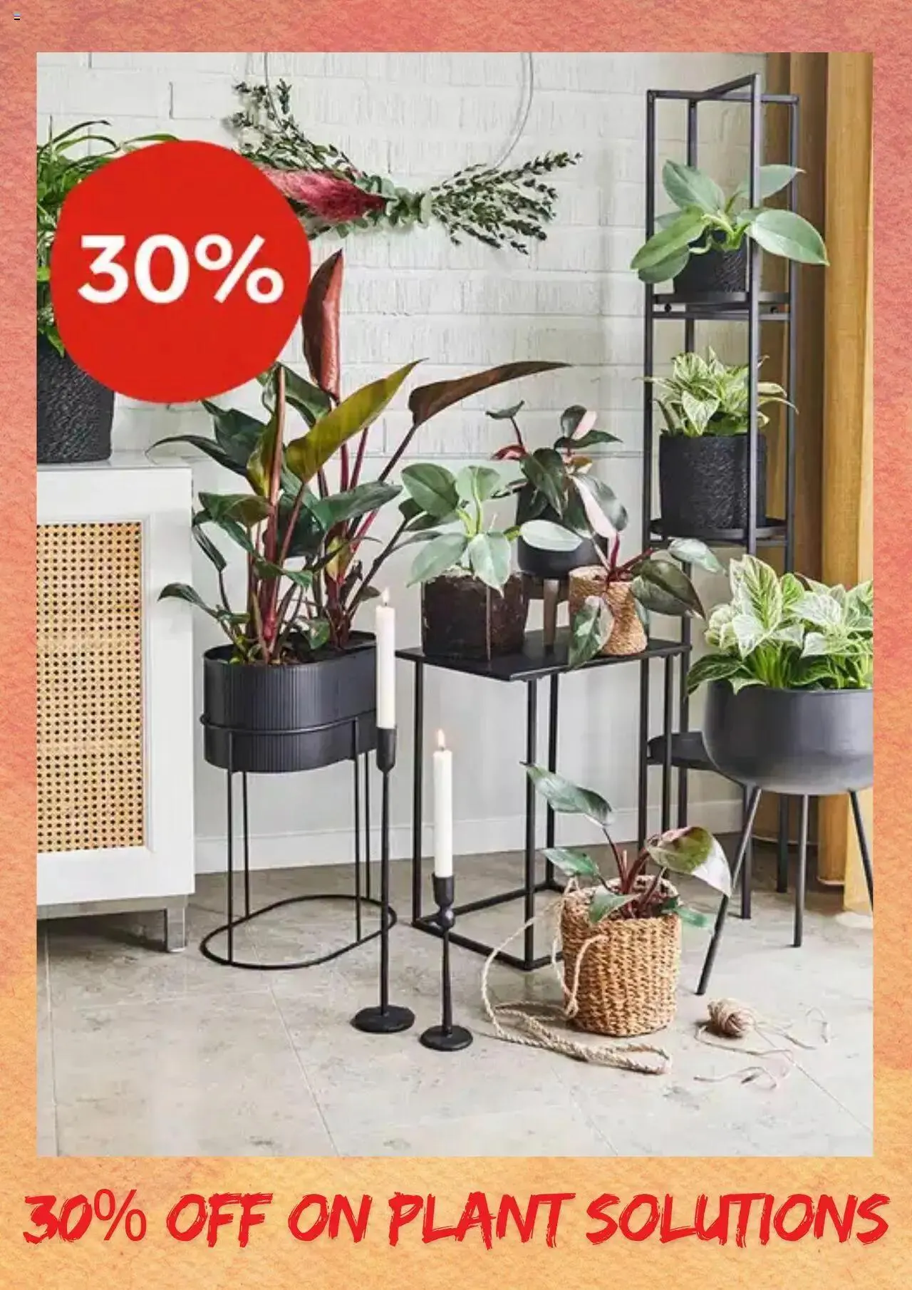 Plantasjen kundeavis fra 11. oktober til 31. oktober 2024 - kundeavisside 6