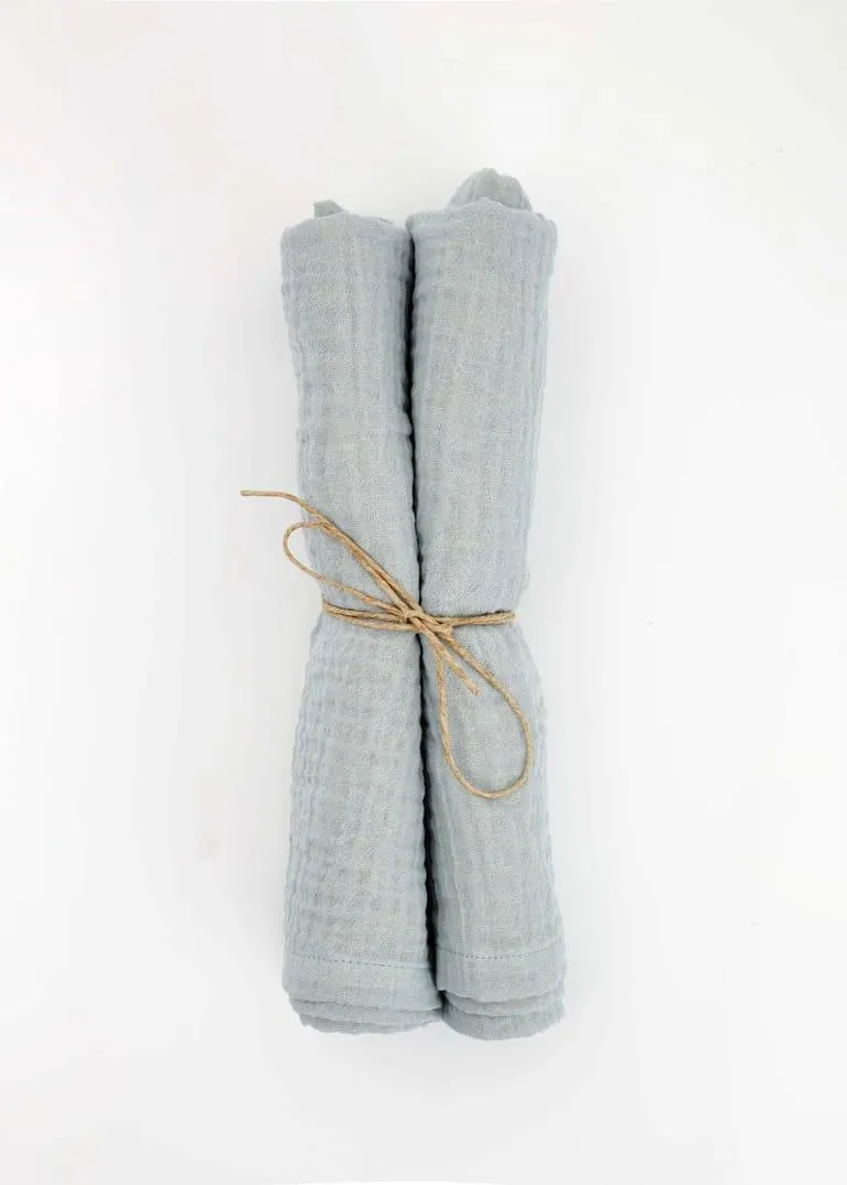 2-pack cotton napkin