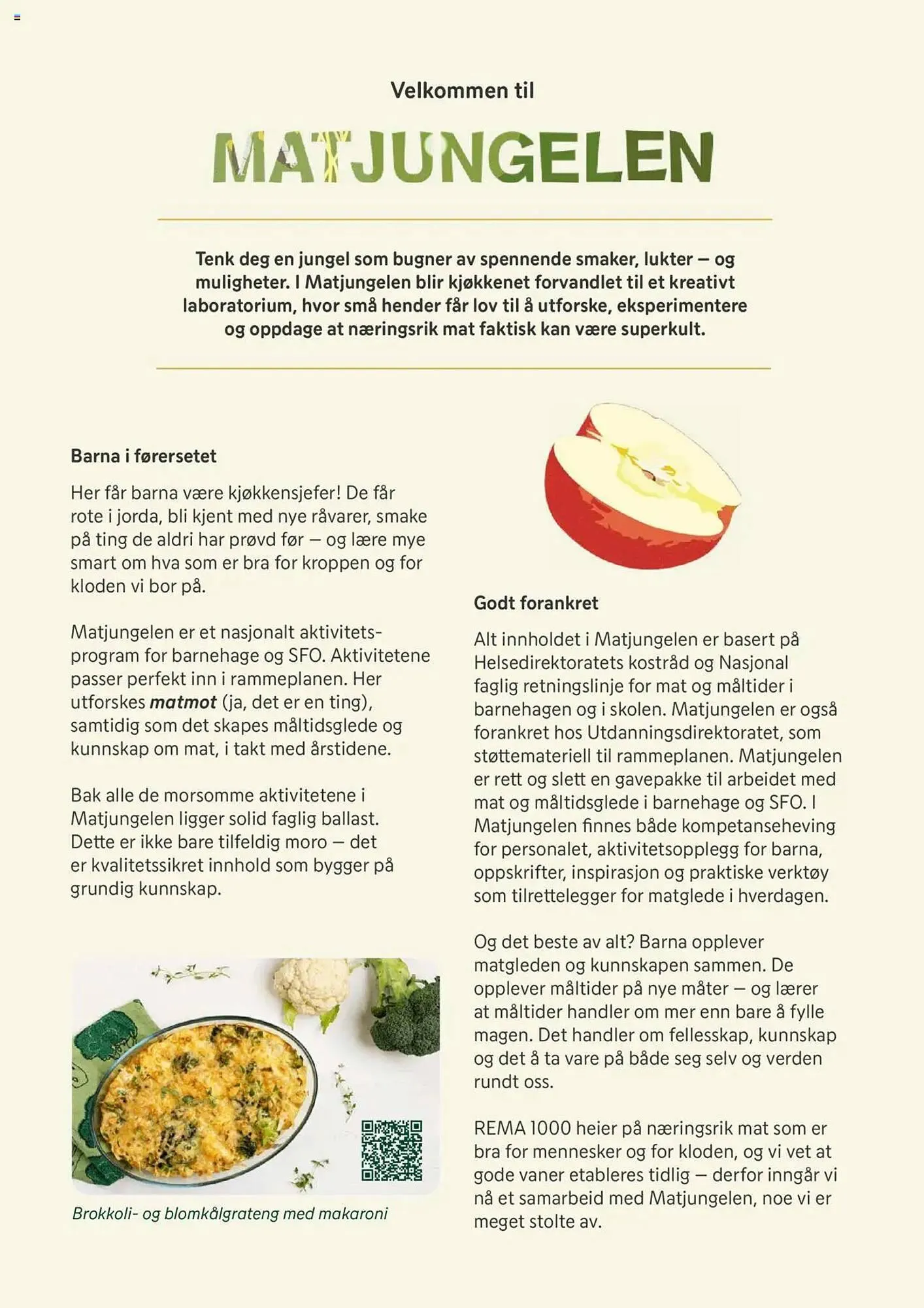 Rema 1000 Kundeavis fra 11. august til 9. januar 2026 - kundeavisside 16