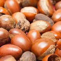 Shea Sparkling Leaves Light Hand Cream