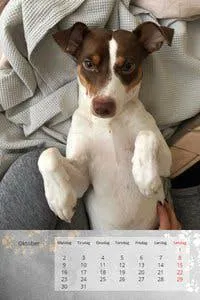 Fotokalender | Lillesand