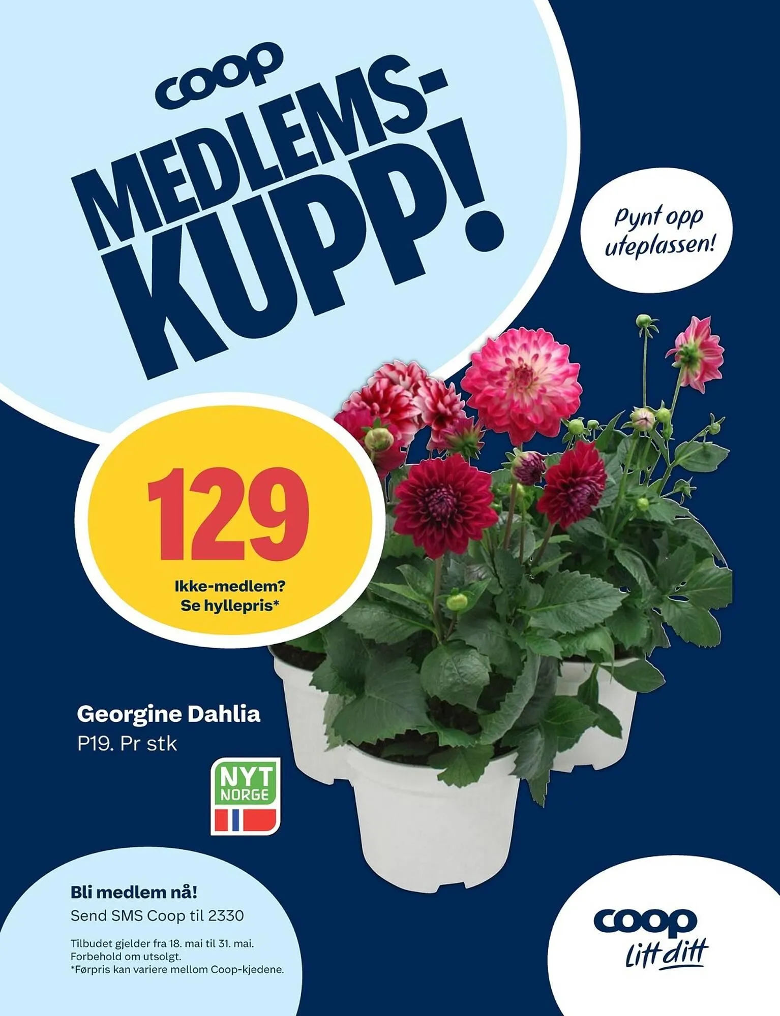 Coop Marked kundeavis fra 18. mai til 7. juni 2026 - kundeavisside 11