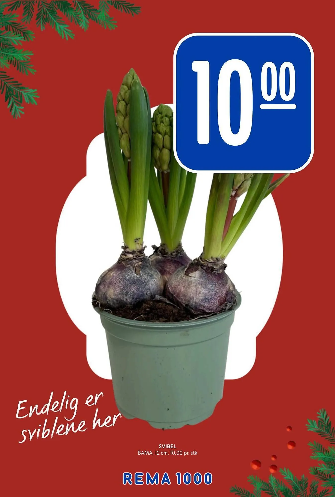 Rema 1000 kundeavis fra 10. november til 15. november 2025 - kundeavisside 15