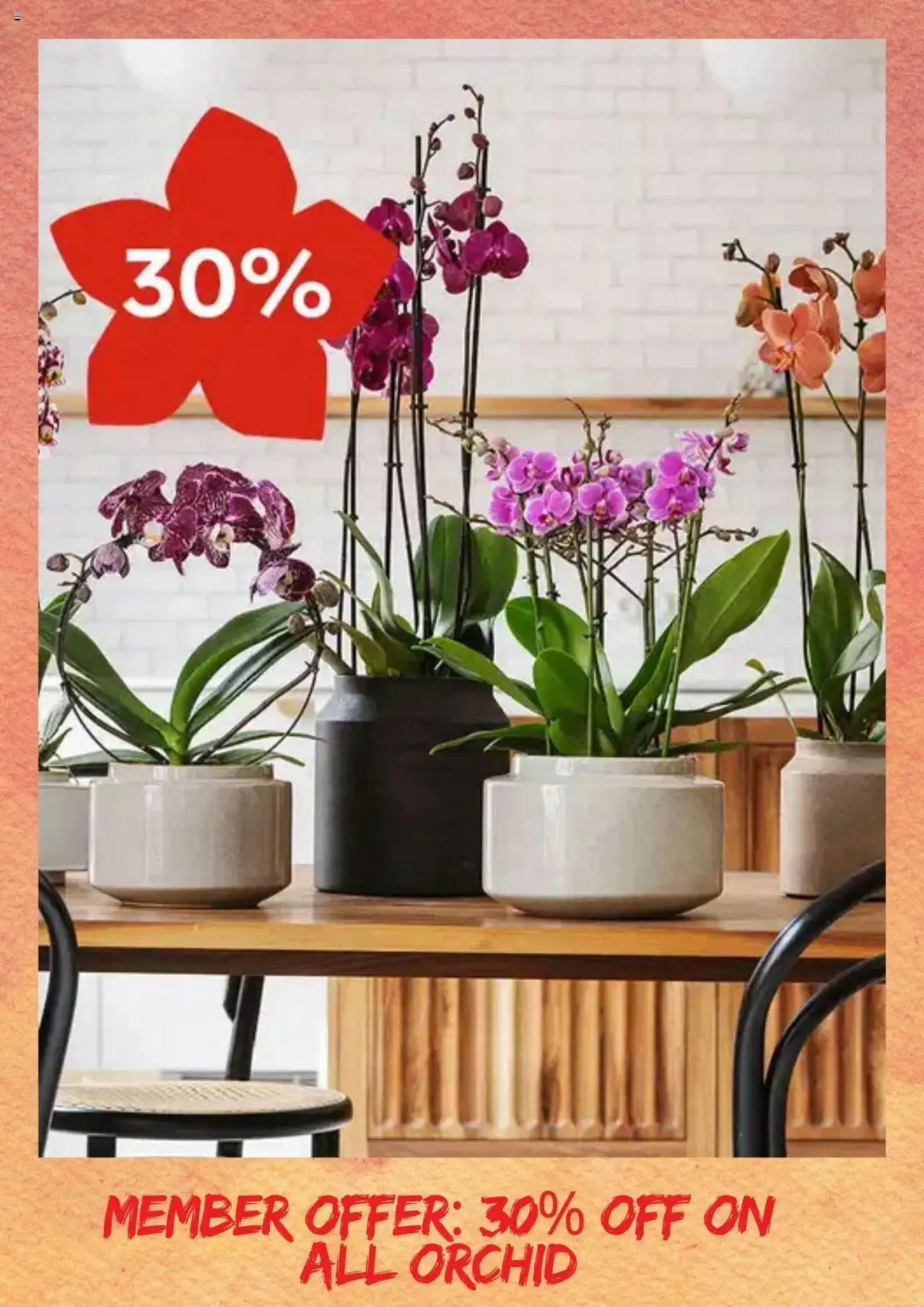 Plantasjen kundeavis fra 11. oktober til 31. oktober 2024 - kundeavisside 3