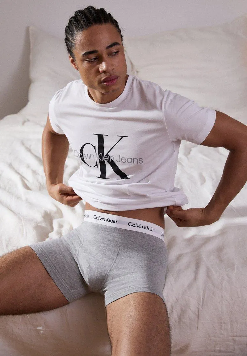 TRUNK 3 PACK COTTON STRETCH - Underbukse - black/white/grey