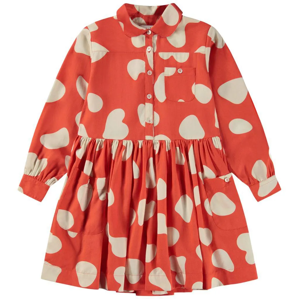 Carolyn Kjole Amanita