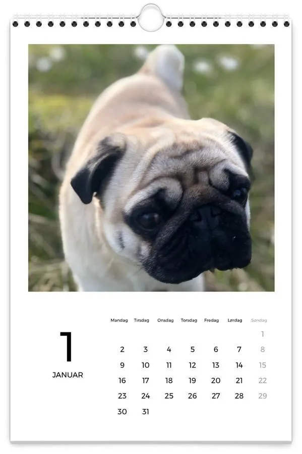 Veggkalender | A4 | Tall