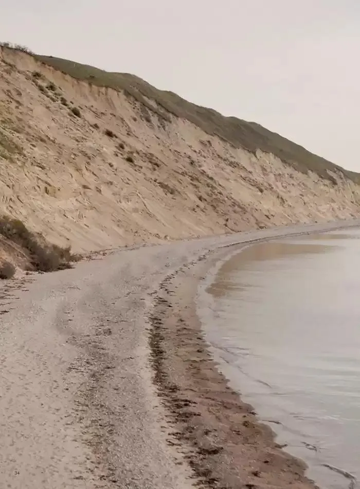 The journal fra 30. oktober til 30. november 2024 - kundeavisside 36