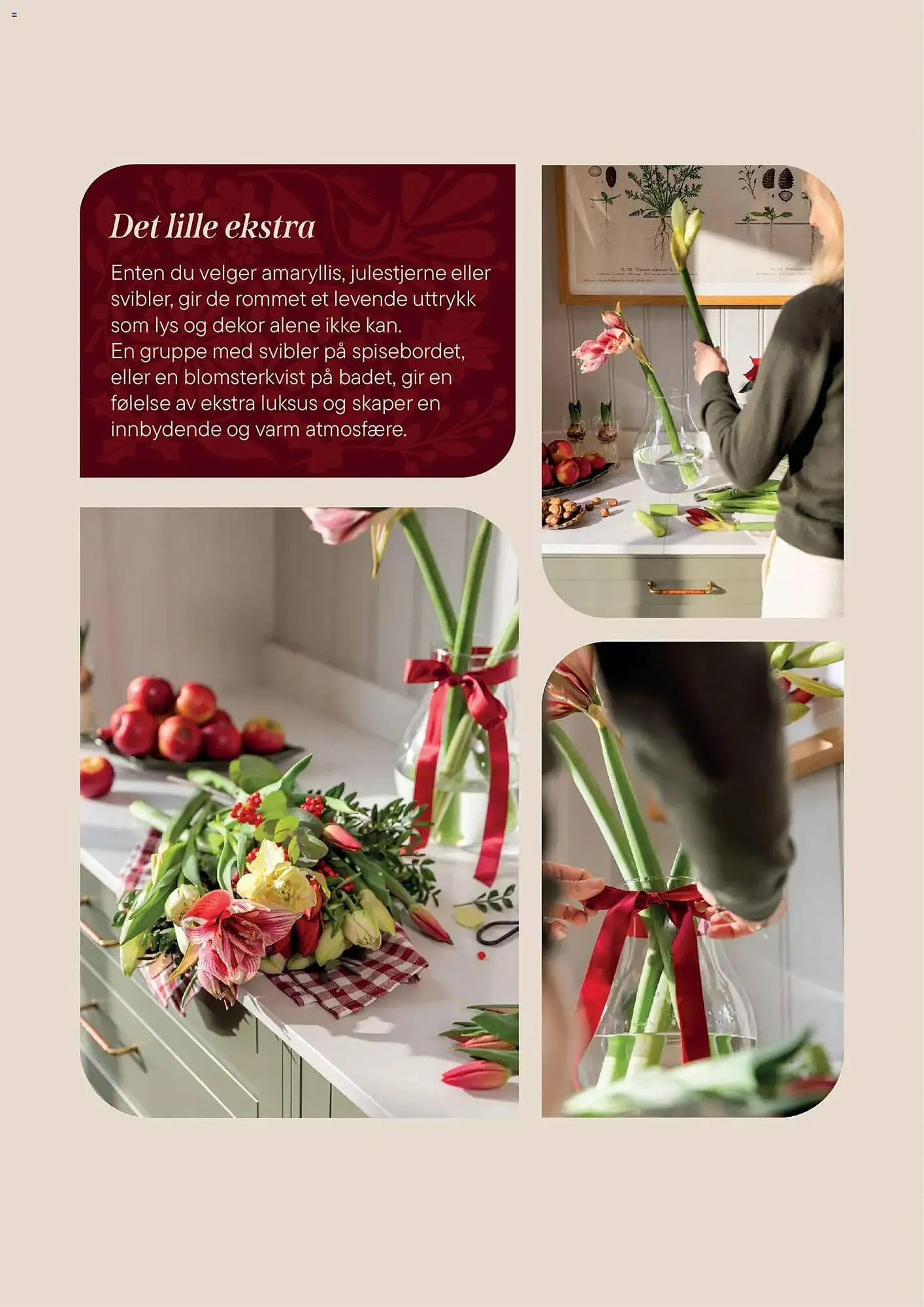 Plantasjen kundeavis fra 2. desember til 9. januar 2026 - kundeavisside 5