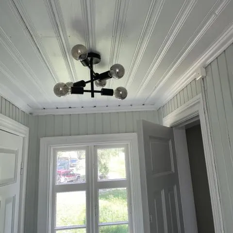 Odelia taklampe Nova Life Sort