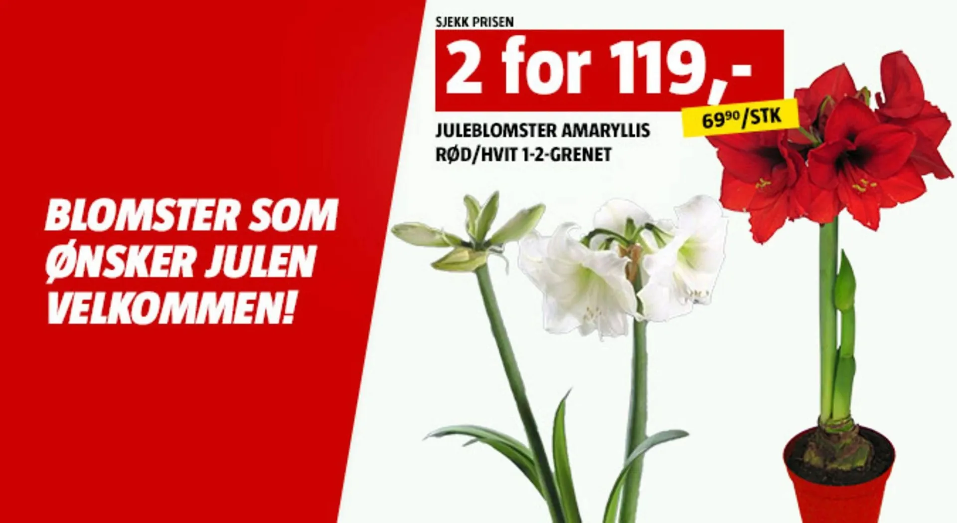 Bauhaus kundeavis fra 7. desember til 12. desember 2025 - kundeavisside 5