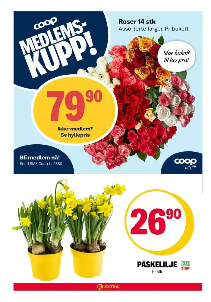 Rabatter og kampanjer fra 3. mars til 9. mars 2025 - kundeavisside 18