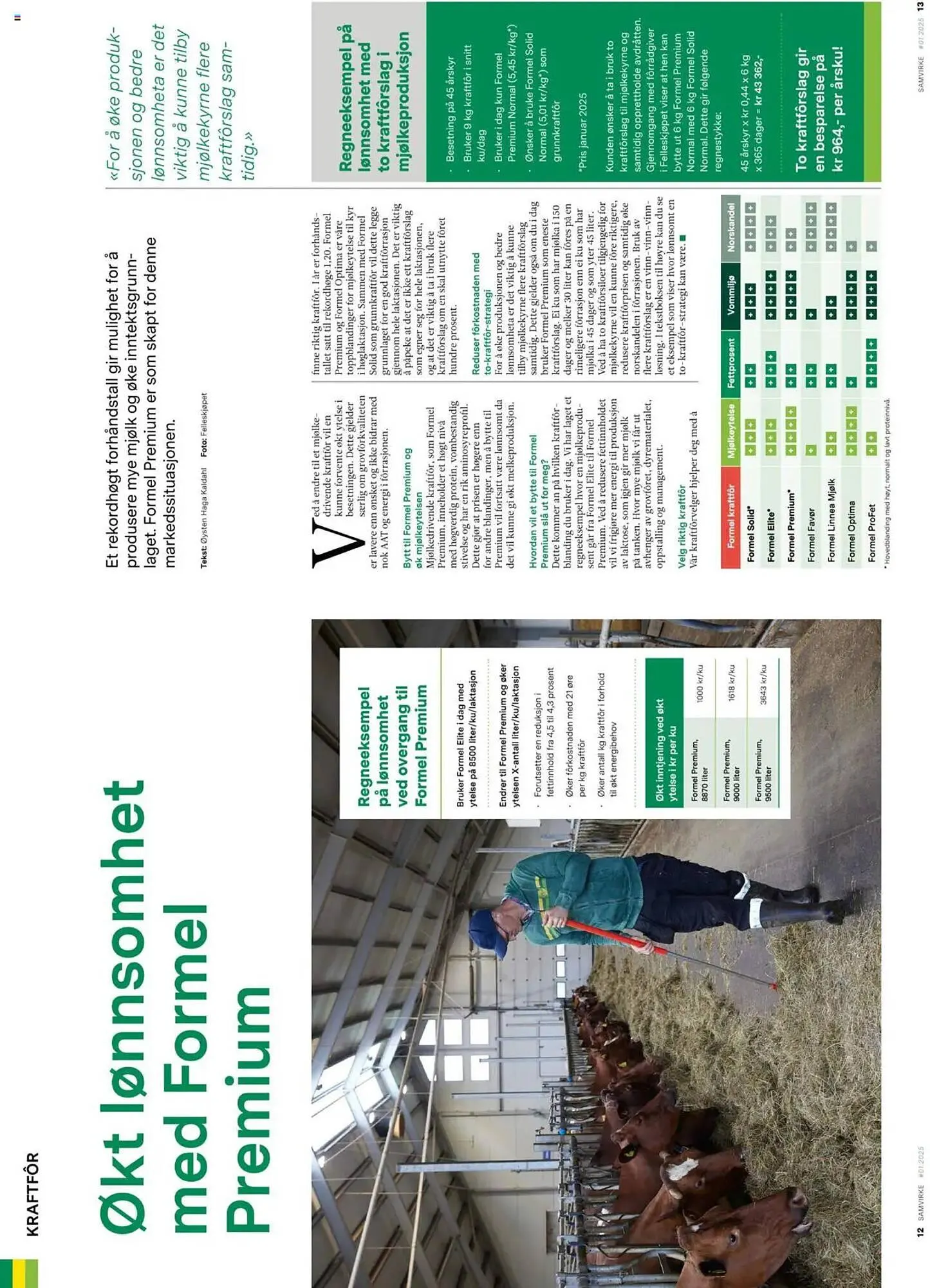 Felleskjøpet Kundeavis fra 1. mars til 31. mars 2025 - kundeavisside 7