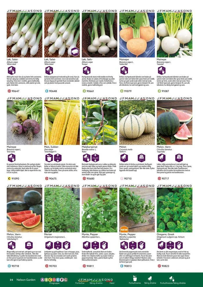 Forkatalog 2024 fra 1. januar til 31. desember 2024 - kundeavisside 24