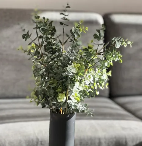 Eucalyptus stilk Grønn 66cm