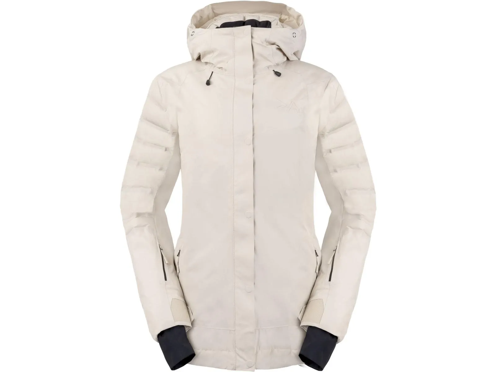 Apex GTX Infinium Down Jacket