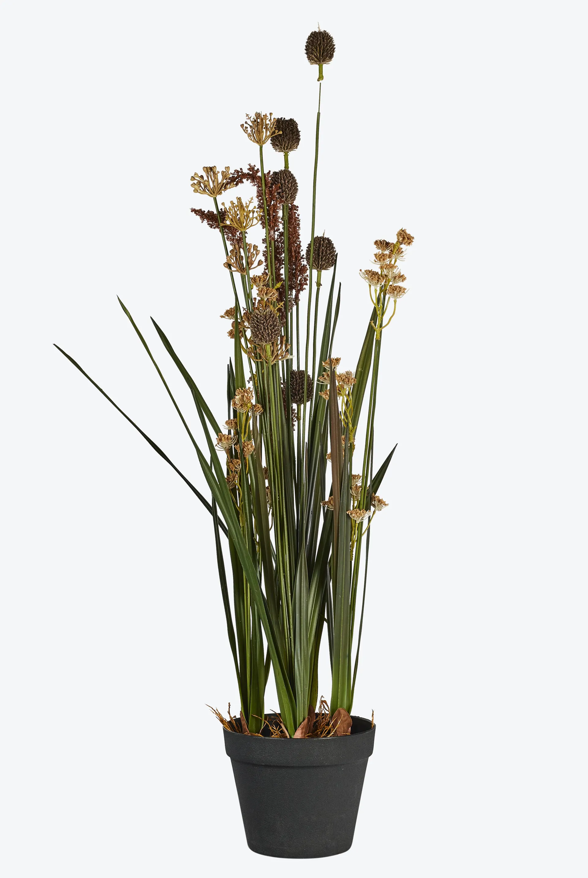 Roggens Gress Romantica