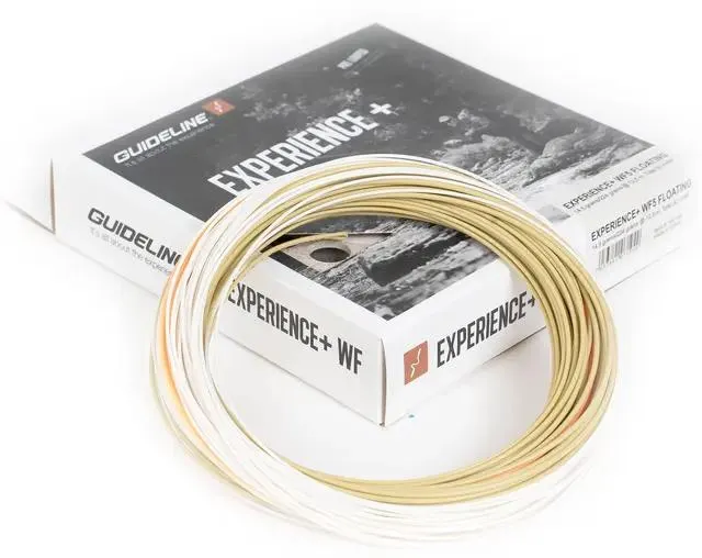 Guideline Experience+ WF #7