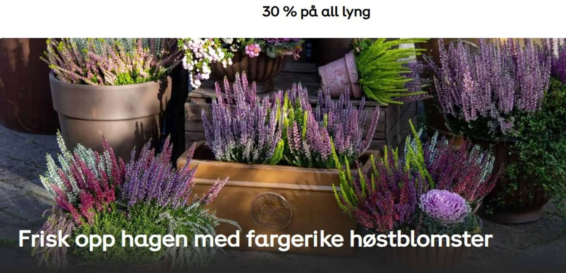 Plantasjen kundeavis - 1