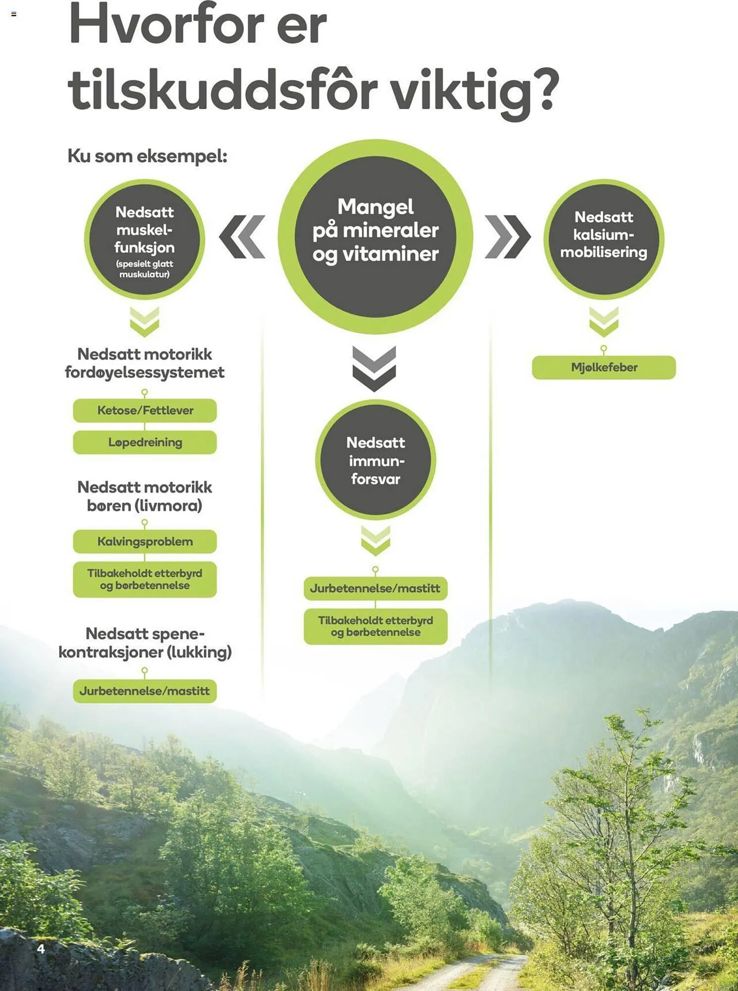 Felleskjøpet Kundeavis fra 30. januar til 30. september 2023 - kundeavisside 4