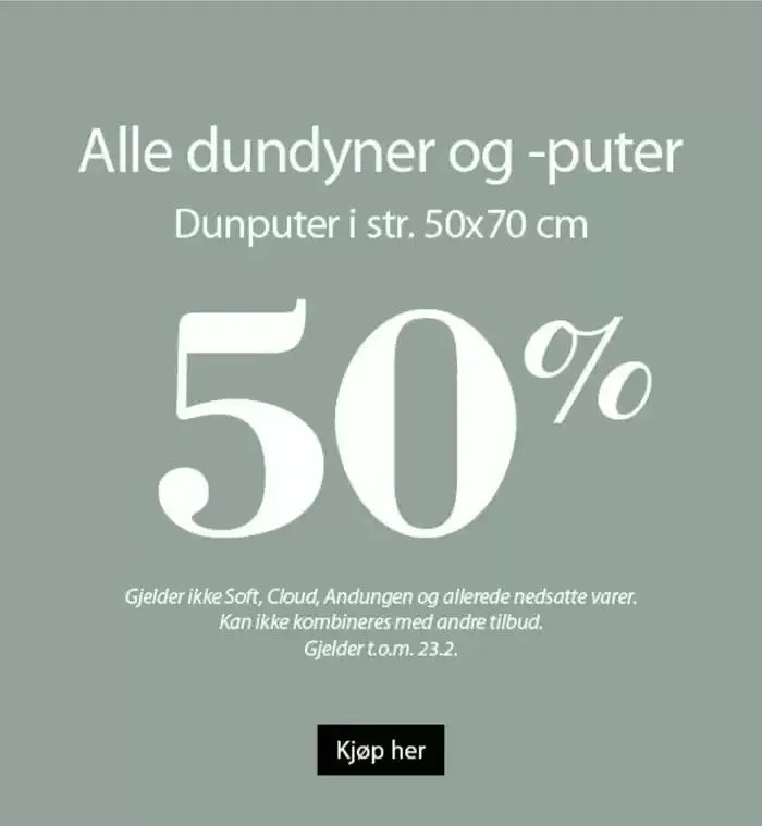 Princess Kundeavis fra 27. januar til 10. februar 2025 - kundeavisside 4