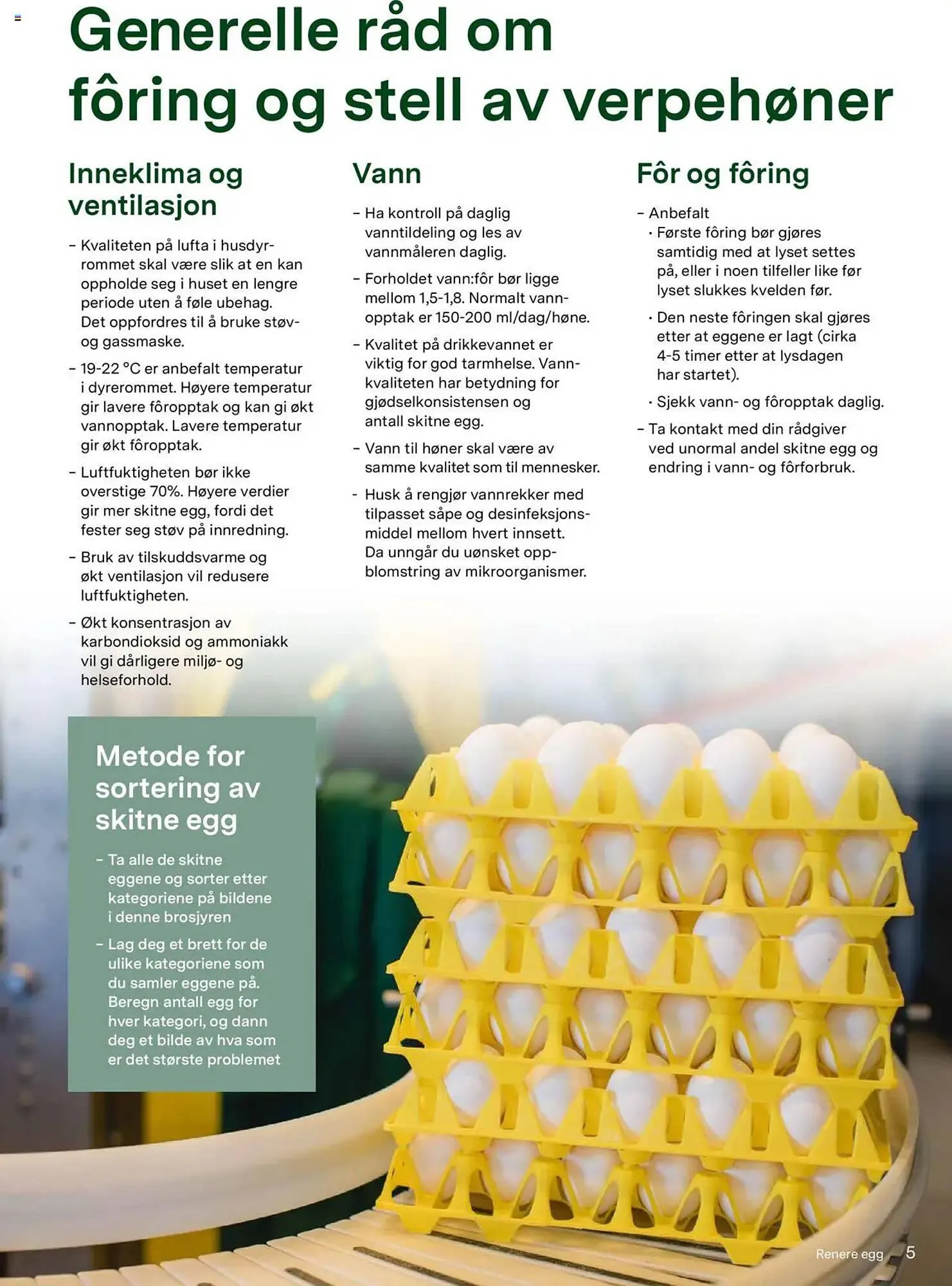 Felleskjøpet Kundeavis fra 21. mai til 31. desember 2025 - kundeavisside 5