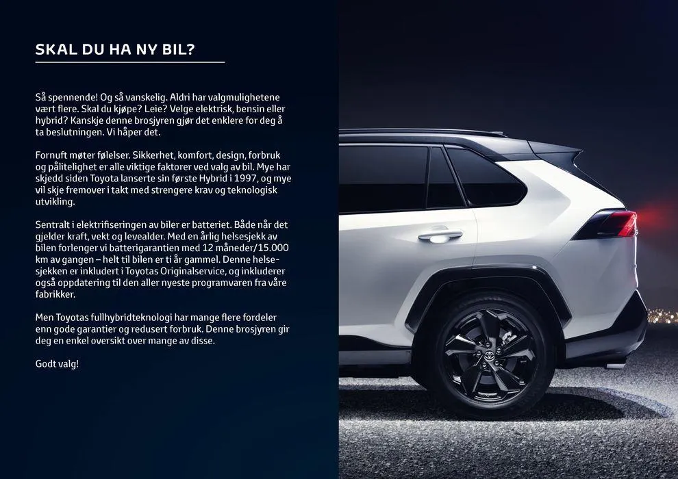 Brosjyre Hybridfordeler Kundeavis fra 8. april til 8. april 2025 - kundeavisside 2