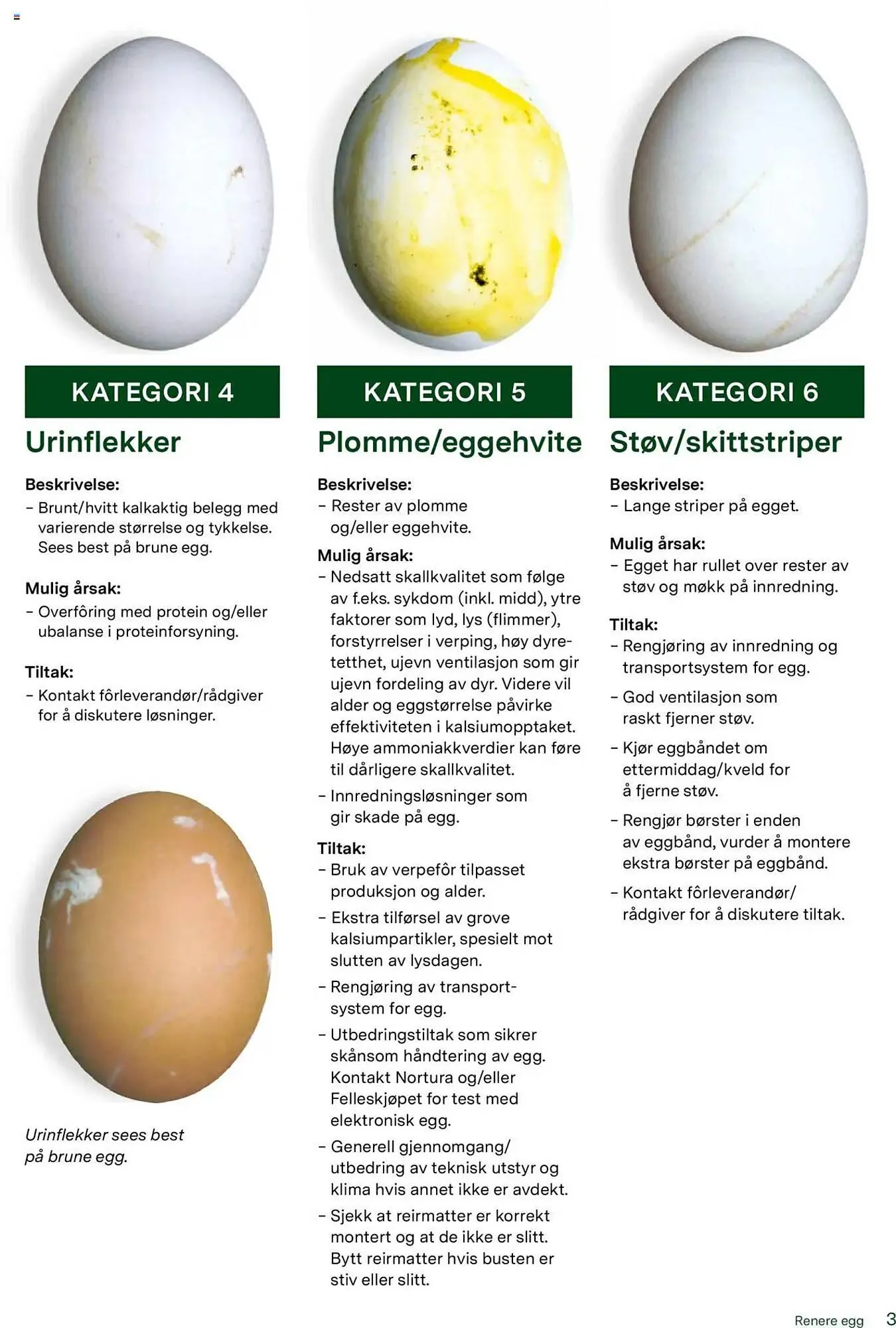 Felleskjøpet Kundeavis fra 21. mai til 31. desember 2025 - kundeavisside 3