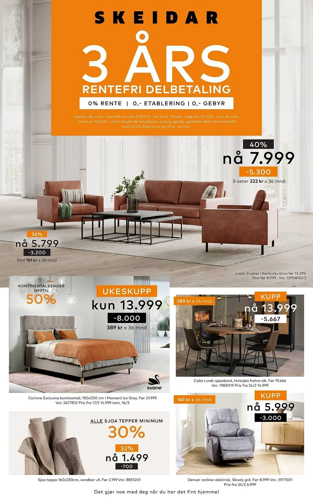 Skeidar Kundeavis - 1